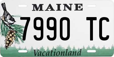 ME license plate 7990TC
