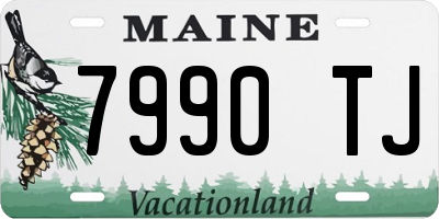 ME license plate 7990TJ