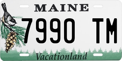 ME license plate 7990TM