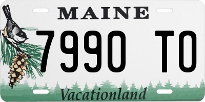 ME license plate 7990TO