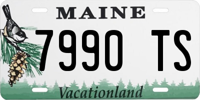 ME license plate 7990TS