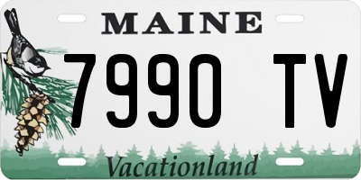 ME license plate 7990TV