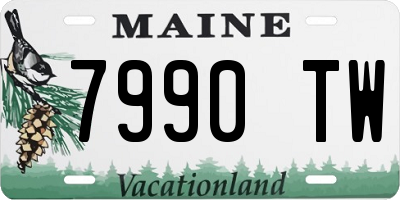 ME license plate 7990TW