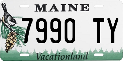 ME license plate 7990TY