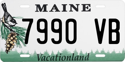 ME license plate 7990VB