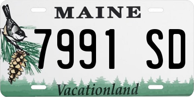 ME license plate 7991SD