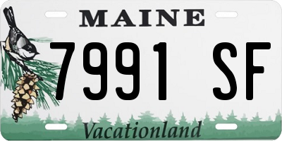 ME license plate 7991SF