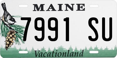 ME license plate 7991SU