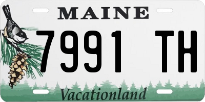 ME license plate 7991TH
