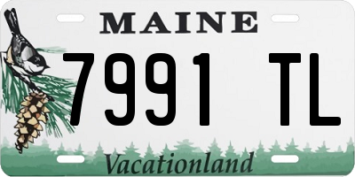 ME license plate 7991TL