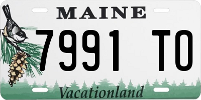 ME license plate 7991TO