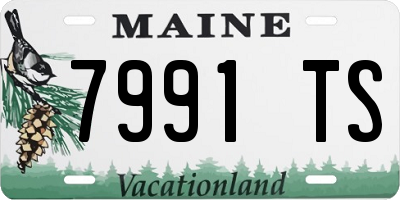ME license plate 7991TS