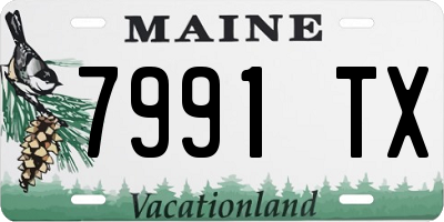 ME license plate 7991TX