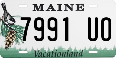 ME license plate 7991UO