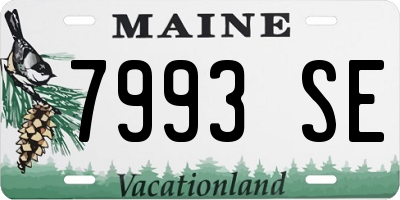 ME license plate 7993SE