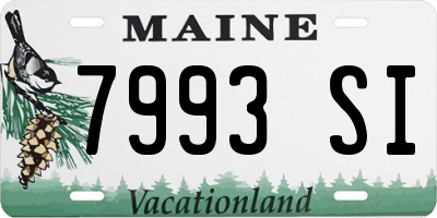 ME license plate 7993SI
