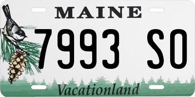 ME license plate 7993SO