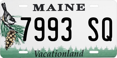 ME license plate 7993SQ