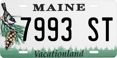 ME license plate 7993ST
