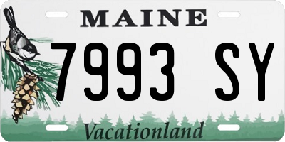 ME license plate 7993SY