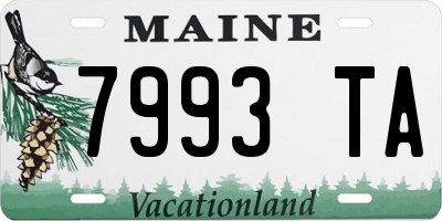 ME license plate 7993TA
