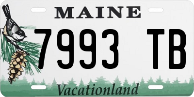 ME license plate 7993TB