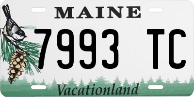 ME license plate 7993TC