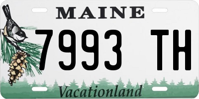 ME license plate 7993TH
