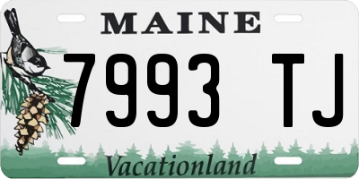 ME license plate 7993TJ