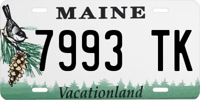 ME license plate 7993TK