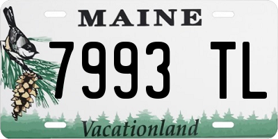 ME license plate 7993TL