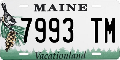 ME license plate 7993TM