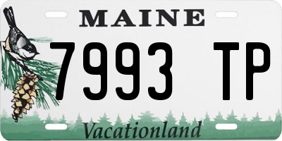 ME license plate 7993TP