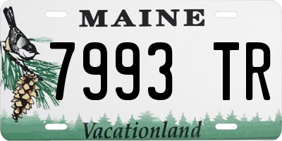 ME license plate 7993TR