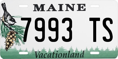 ME license plate 7993TS