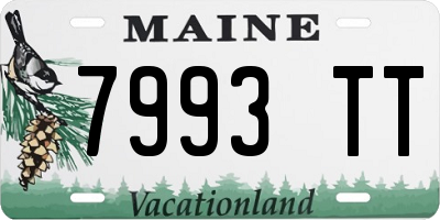 ME license plate 7993TT