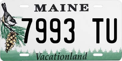 ME license plate 7993TU