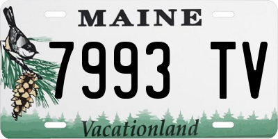 ME license plate 7993TV