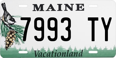 ME license plate 7993TY