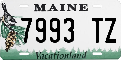 ME license plate 7993TZ