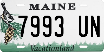 ME license plate 7993UN