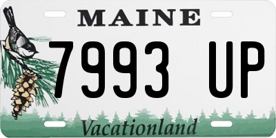 ME license plate 7993UP