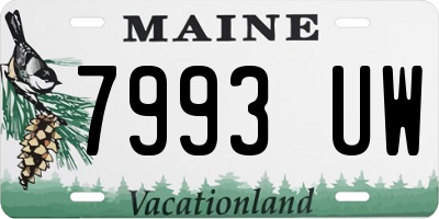 ME license plate 7993UW