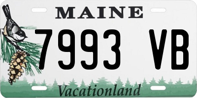 ME license plate 7993VB