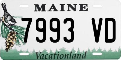 ME license plate 7993VD