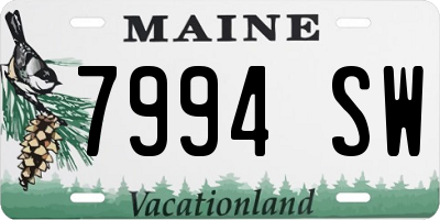 ME license plate 7994SW
