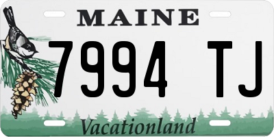 ME license plate 7994TJ
