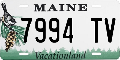 ME license plate 7994TV