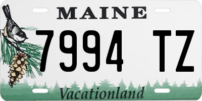 ME license plate 7994TZ