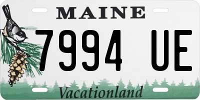 ME license plate 7994UE
